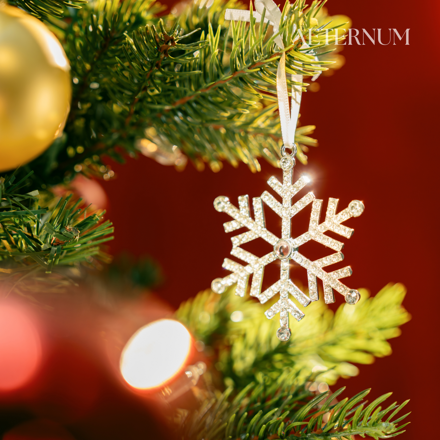 Captured Moments Snowflake Ornament