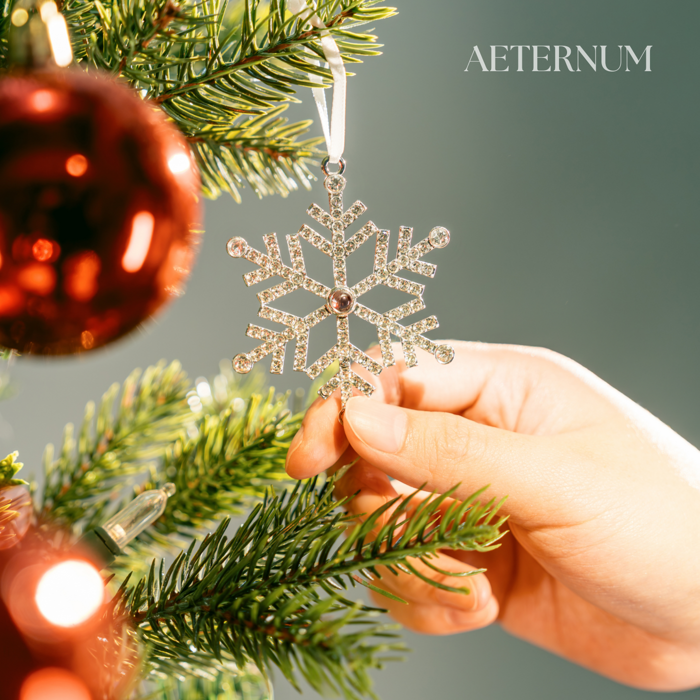 Captured Moments Snowflake Ornament