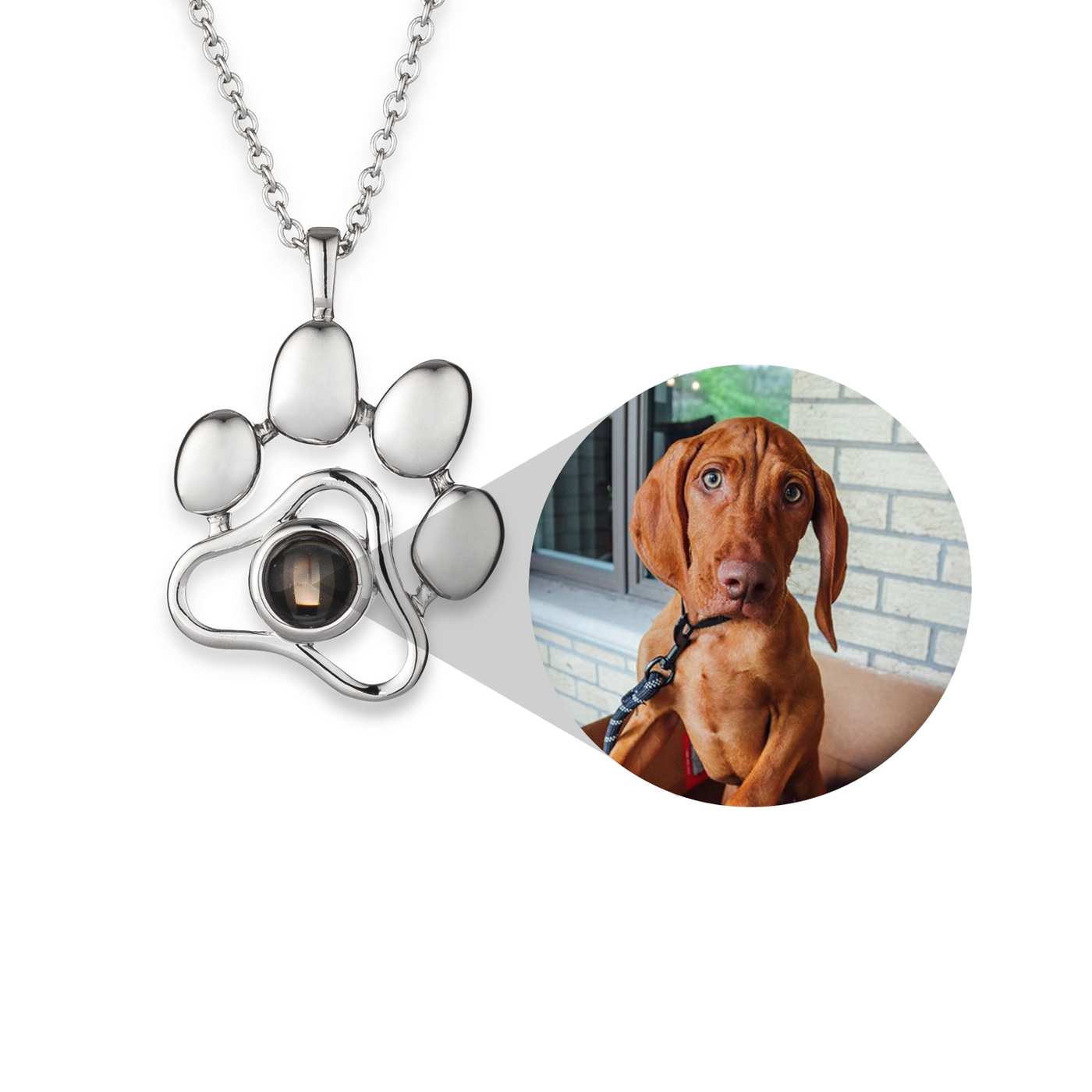 Personalized Pet Photo Projection Necklace/Keychain